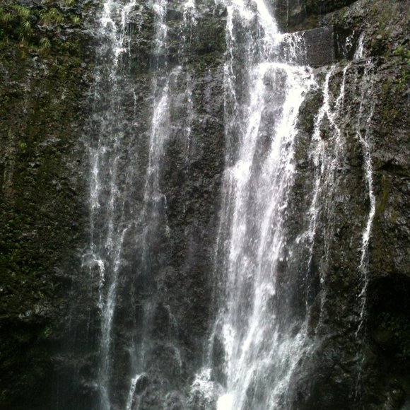 🌴 THE ROAD TO HANA IN MAUI - Picture 4 of 7